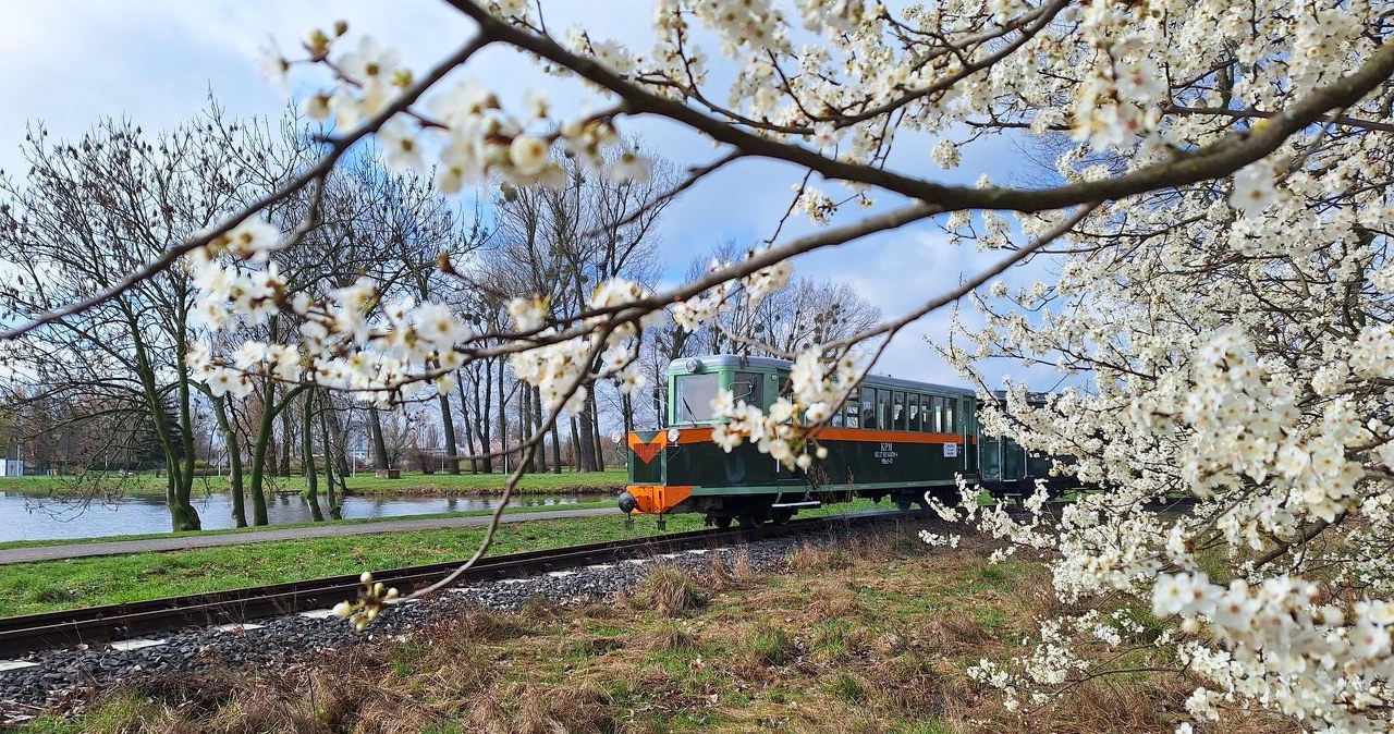 To jedna z największych atrakcji Poznania. Wraca po zimowej przerwie