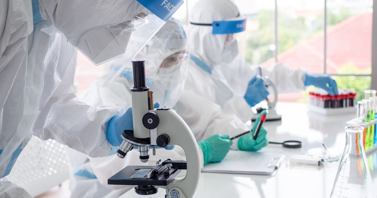 Czy Polsce grozi ognisko cholery? Rzecznik GIS zabrał głos