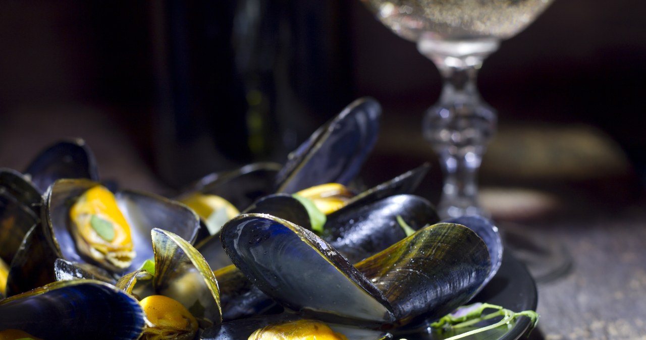 Tragedia na wakacjach w Turcji. Nie żyje dwójka dzieci i ich matka