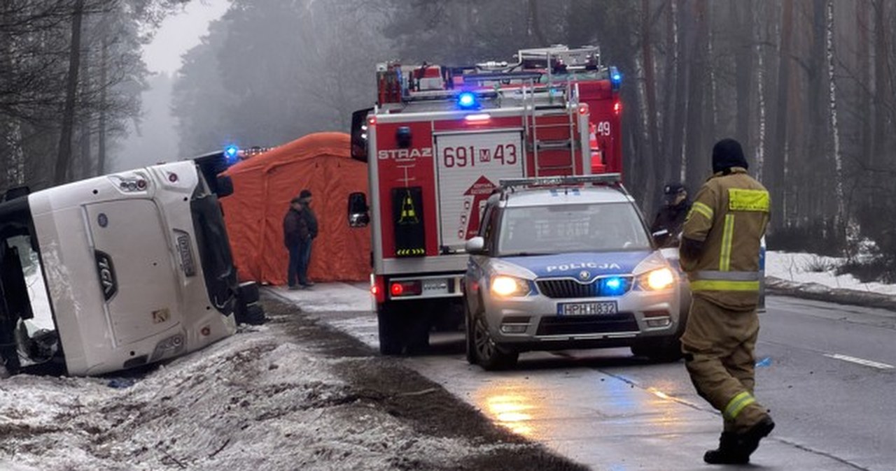 Ciężko ranni po wypadku na Mazowszu. Przed autobus wyskoczył jeleń