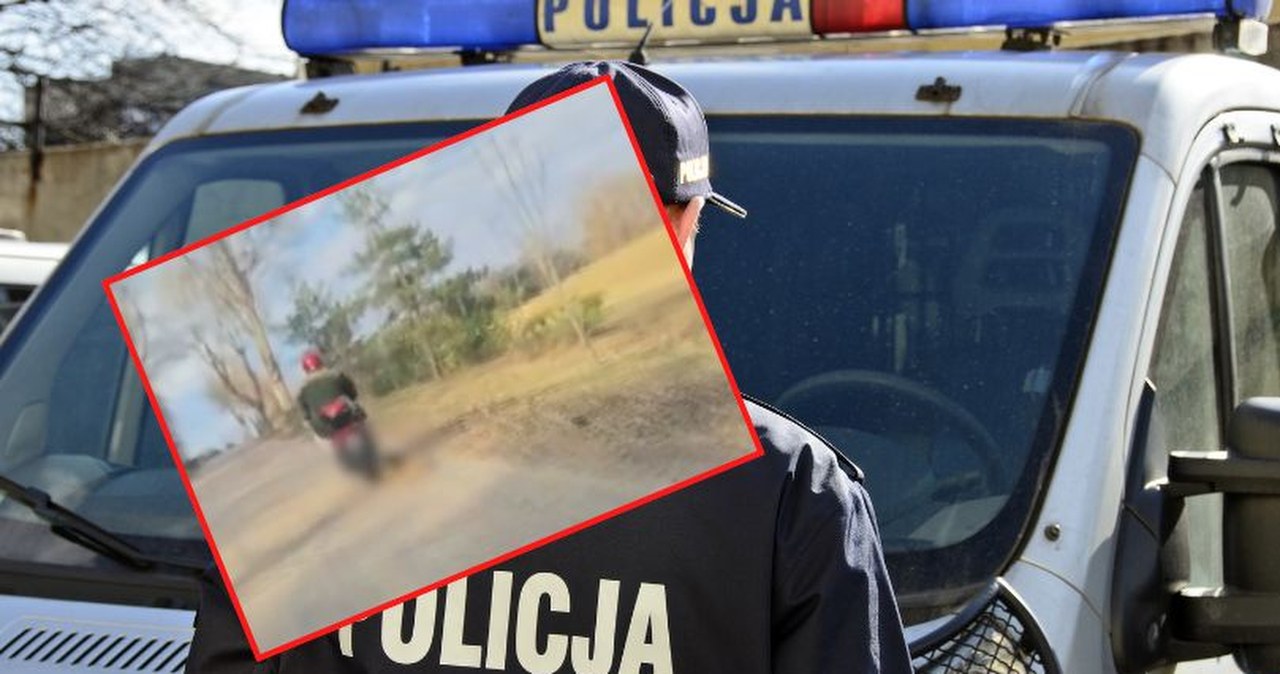 Bulwersujące zachowanie 72-latka. Ciągnął psa na sznurku, zwierzę nie przeżyło