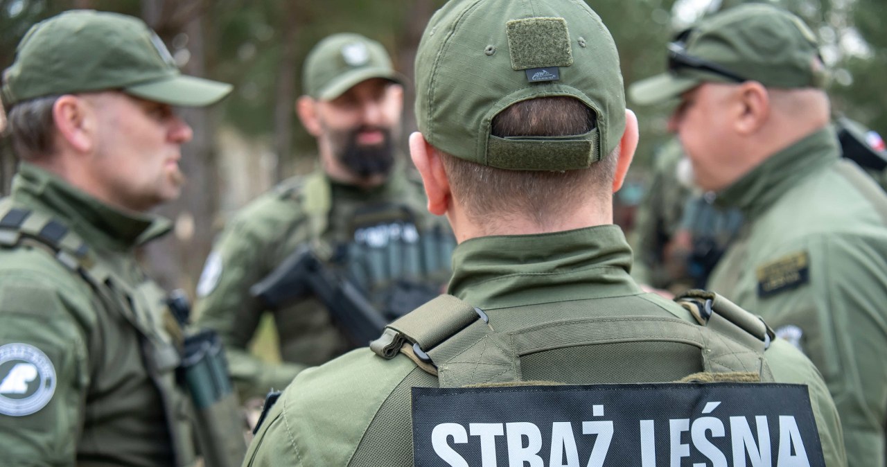 Quadem po lesie. Leśnicy alarmują: wraca problem nielegalnych rajdów