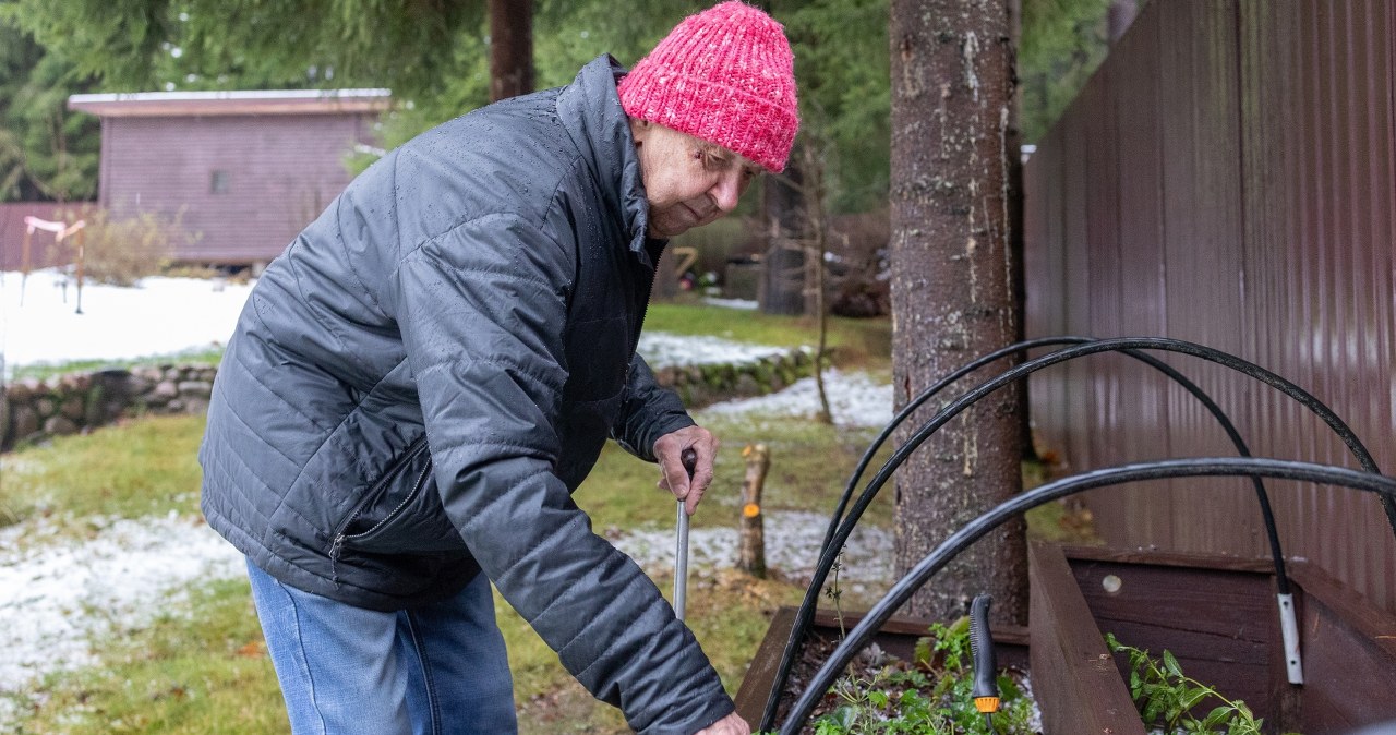 Zimni ogrodnicy nadchodzą. Te dni mogą przynieść ochłodzenie