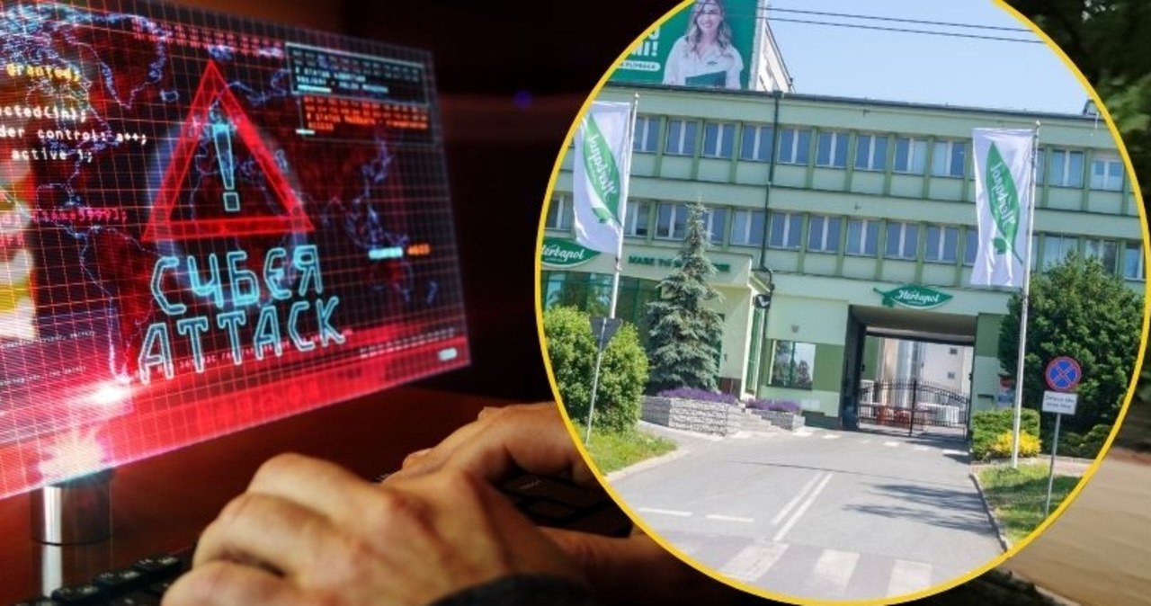 Atak hakerski na Herbapol i żądanie okupu. Wszczęto śledztwo