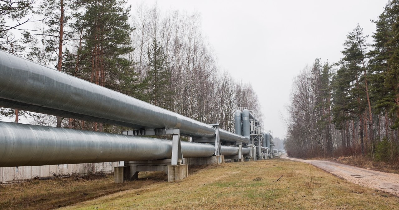 162 kilometry długości. Rusza budowa największego gazociągu w regionie