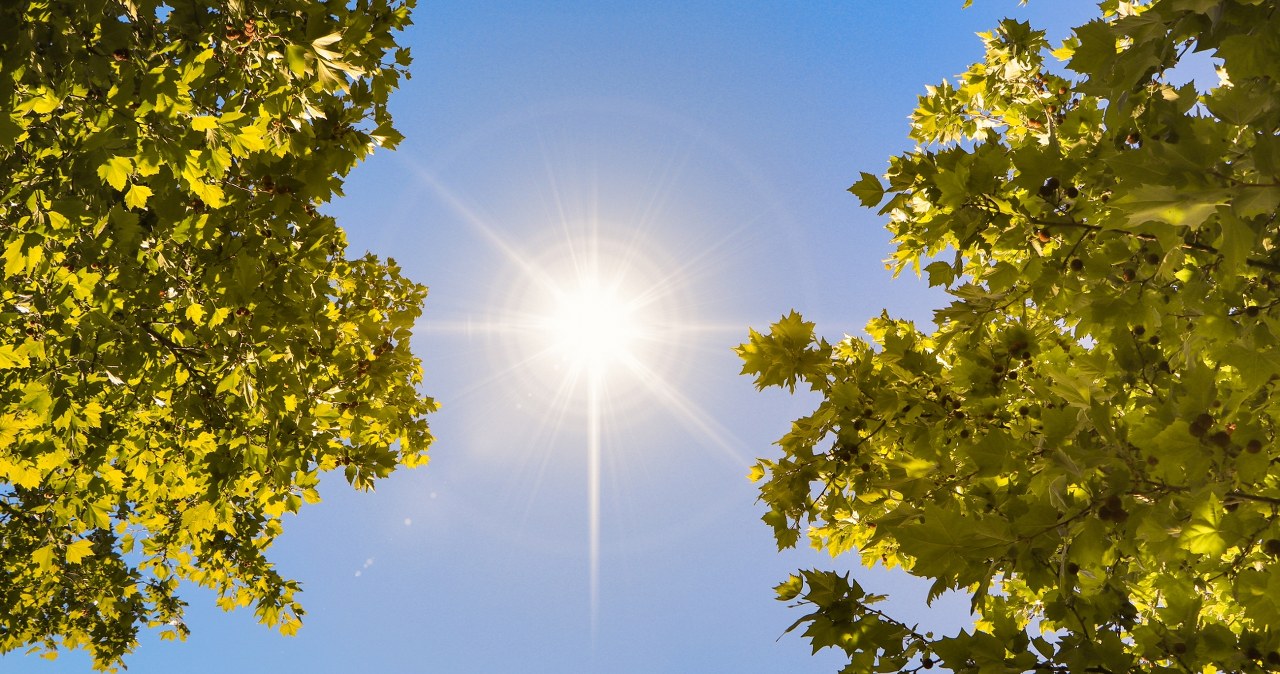 W majówkę wysokie temperatury i brak opadów. Sprawdź prognozę na długi weekend