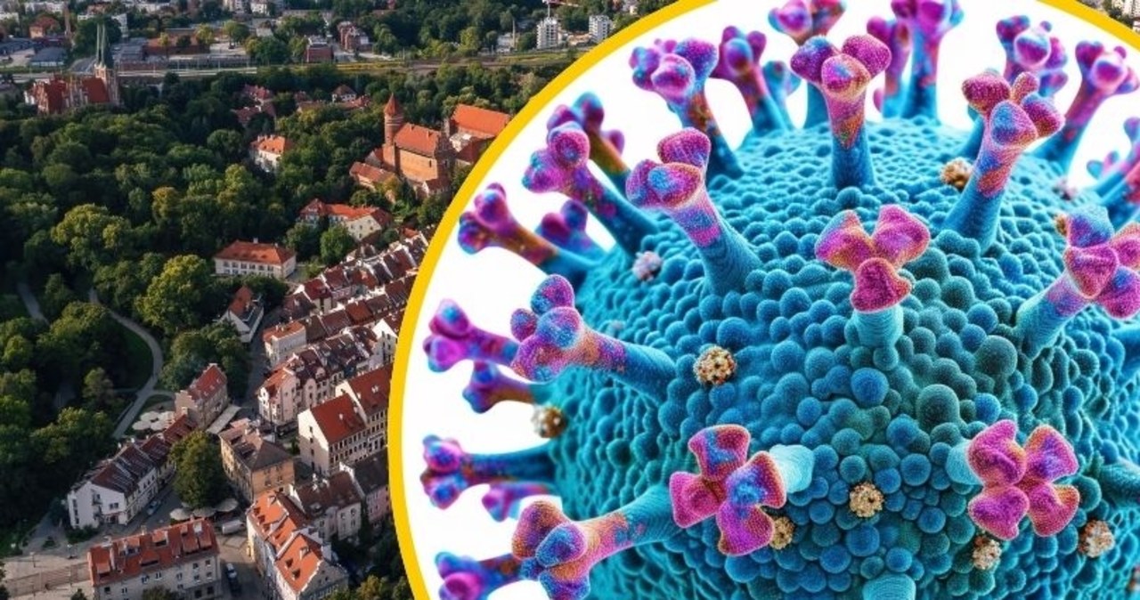 Alarm w Olsztynie: Podejrzenie odry u dorosłej kobiety