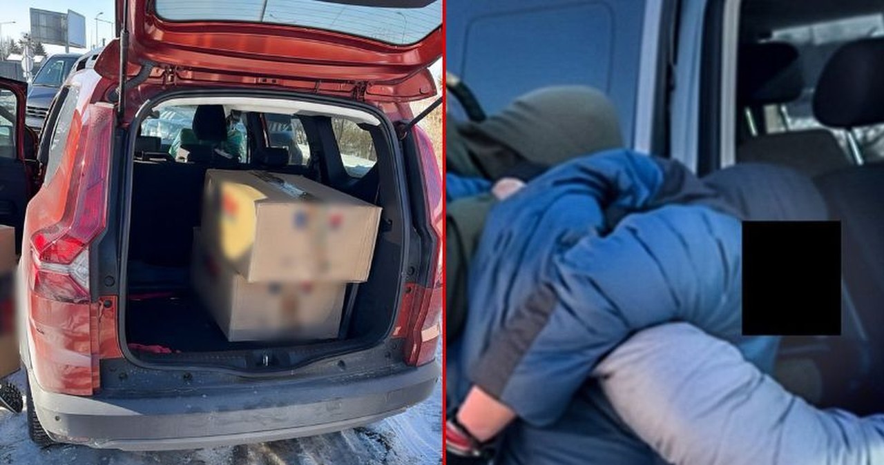 21 kg marihuany w wynajętym samochodzie. CBŚP w akcji