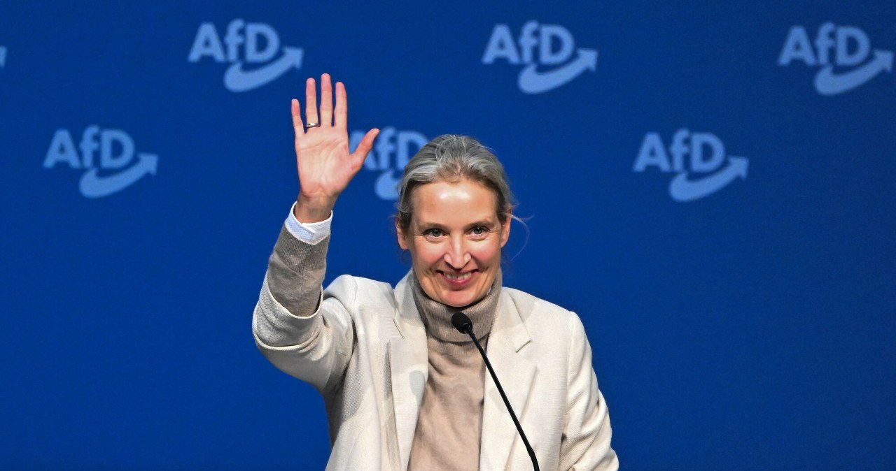 AfD chce "przywrócić Niemcom poczucie własnej wartości". Nowy plan na kulturę