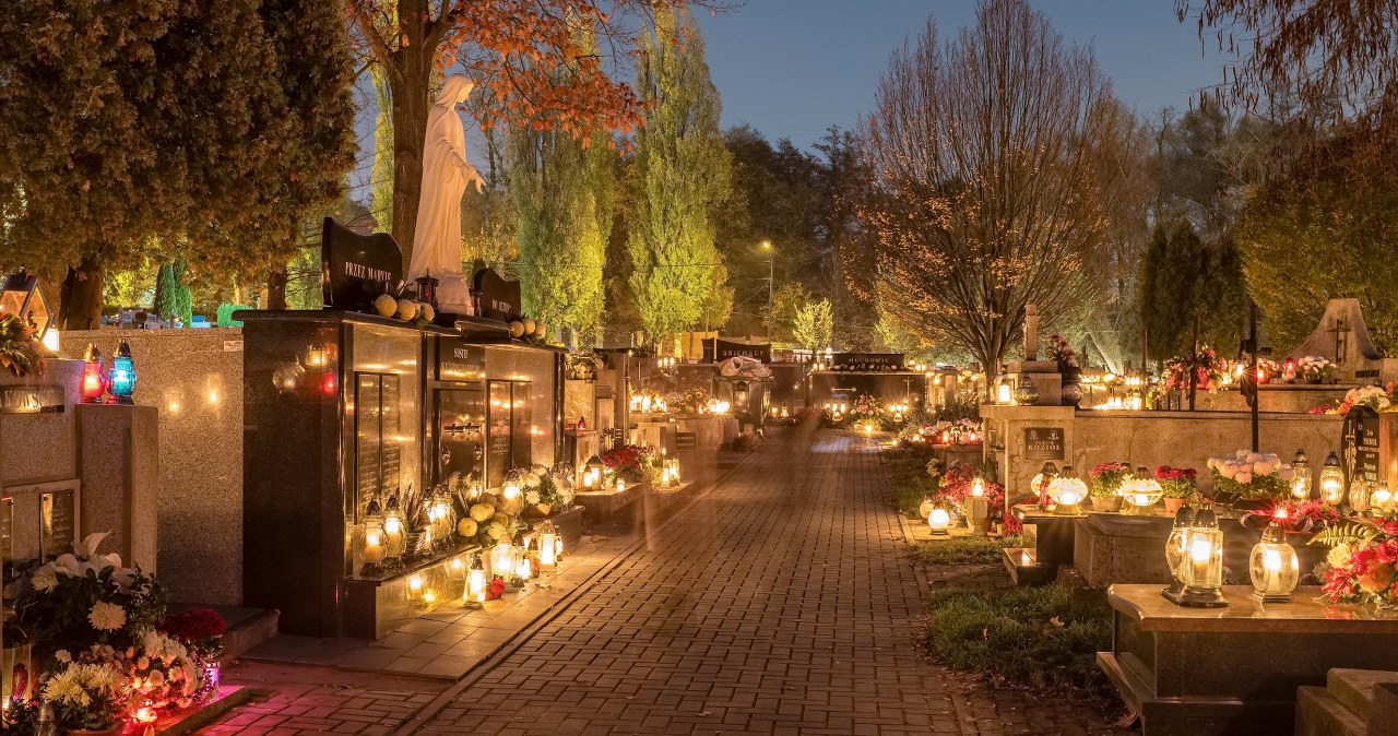 Nawet 5 tys. zł mandatu. Za to można zostać ukaranym na cmentarzu