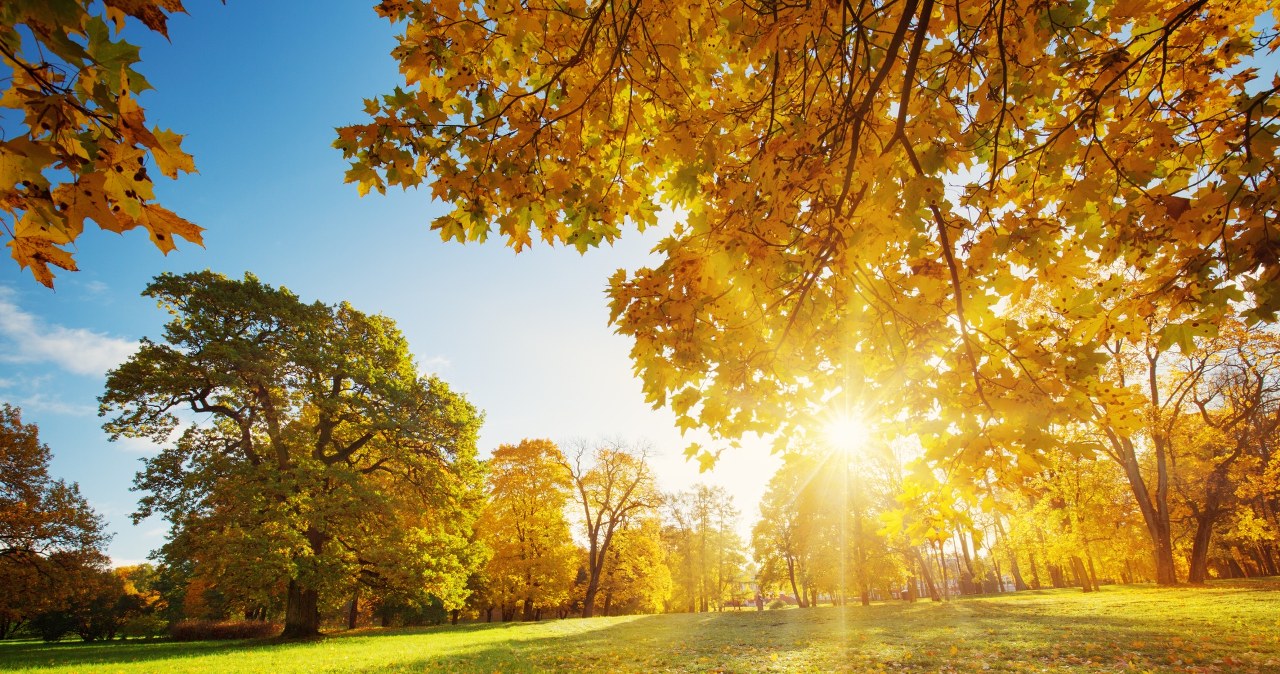 Do Polski nadchodzi późne babie lato. Temperatura sięgnie 22 st. Celsjusza