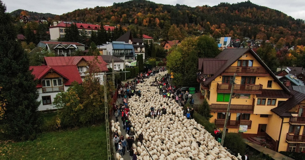 Oblężenie w Szczawnicy. Turyści nie mogli wydostać się z uzdrowiska