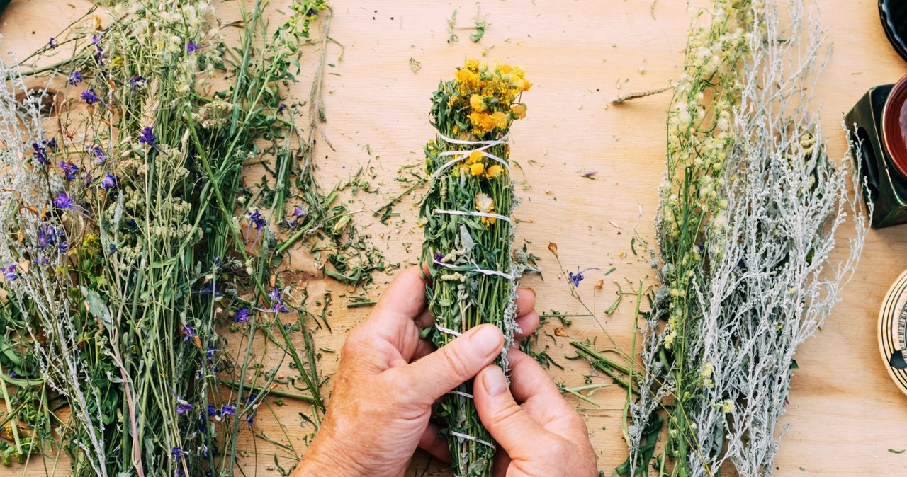 Co dalej z ustawą "lex szarlatan"? Zgłoszono tysiące uwag