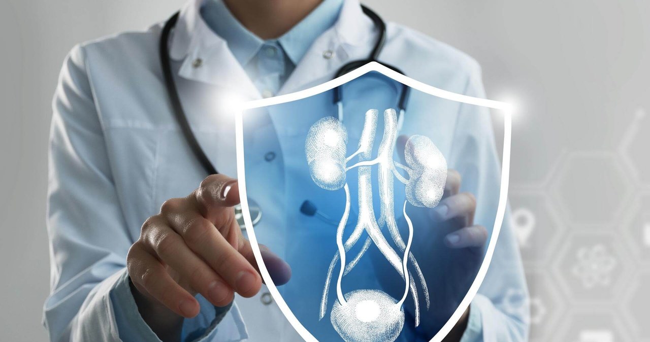 Po pierwsze edukacja. Chatbot Wacek odpowie na pytania panów