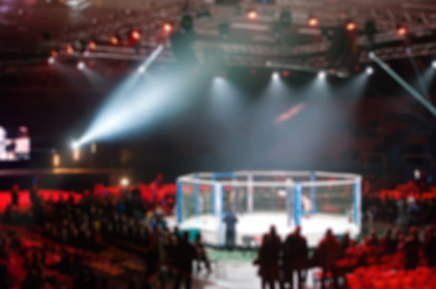 „Jeszcze Niemcy nie...”. Hymn Polski znieważony przed galą Prime Show MMA?
