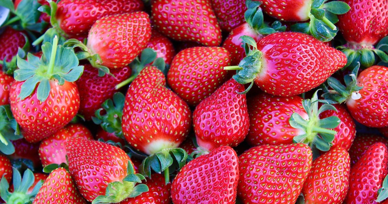 ​Owocowe Poniedziałki w RMF24: Kaszubska truskawka królową lata?