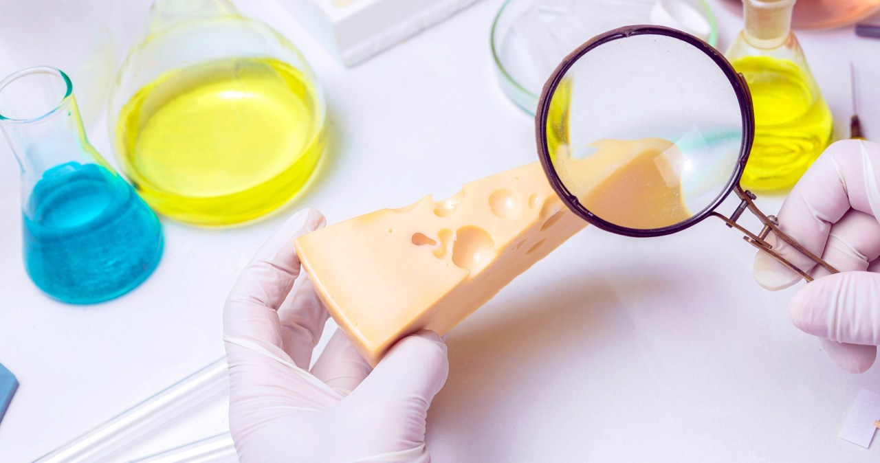 Wegański ser z Wrocławia podbije Europę? Nadchodzi kulinarna rewolucja