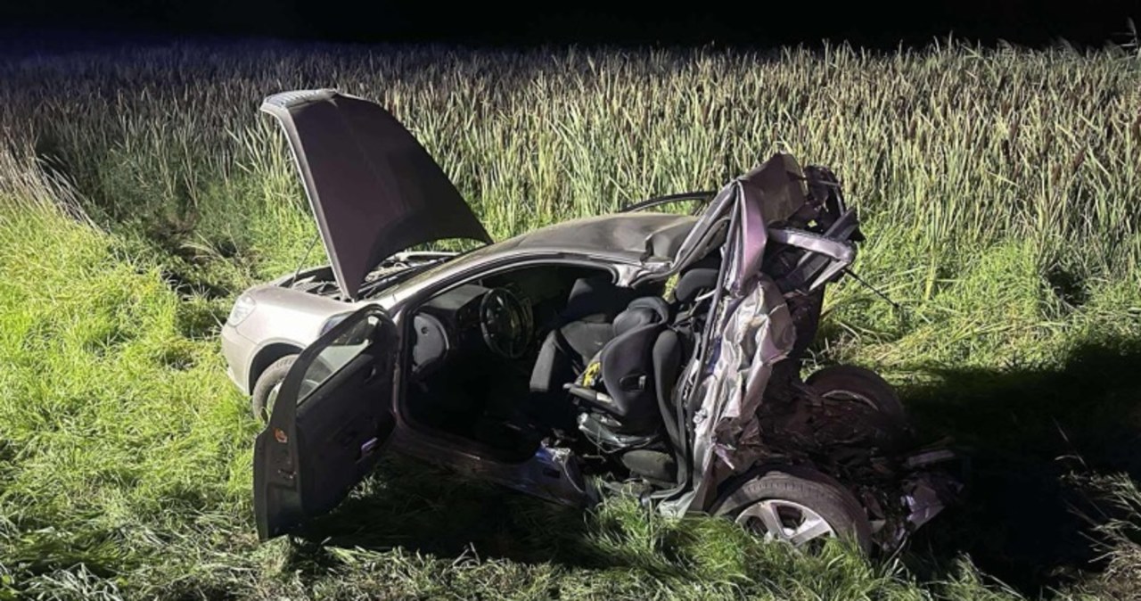 2-letnie dziecko wśród ofiar wypadku. Sprawca zatrzymany po ucieczce