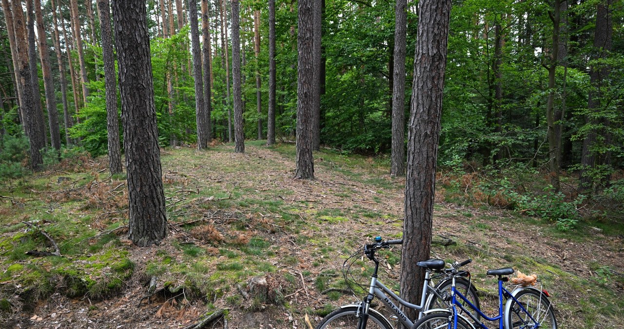 Roztoczański Park Narodowy ponownie otwarty. Służby apelują