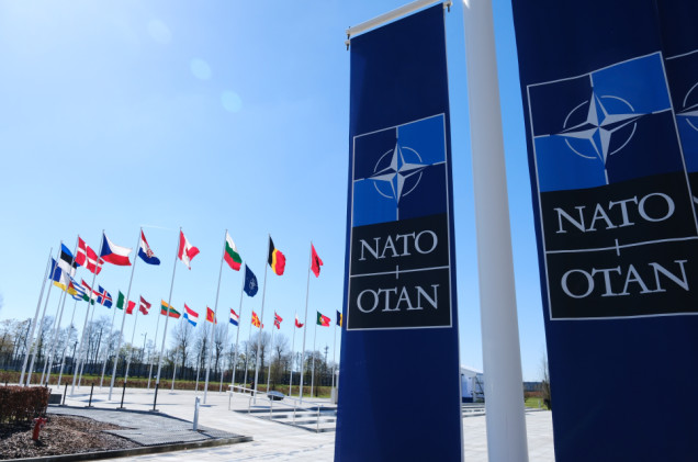 Stażystka szpiegiem w strukturach NATO? Zatrzymano Kanadyjkę chińskiego pochodzenia