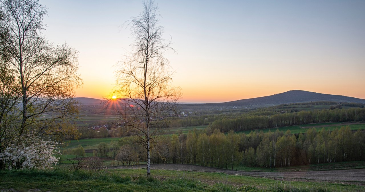 Najstarsze ślady kręgowców na lądzie odkryte w Górach Świętokrzyskich