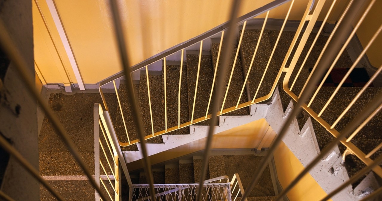 Oświęcim: Ciała dwóch kobiet i truchło kota. Na klatce czuć było fetor