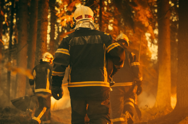 Pożar lasu na południu Hiszpanii. Zginęło 12 osób