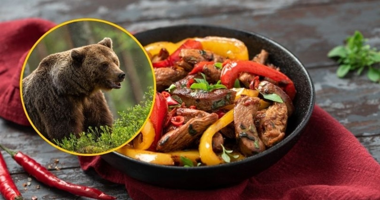 Rewolucja w menu. Mięso niedźwiedzia na sprzedaż