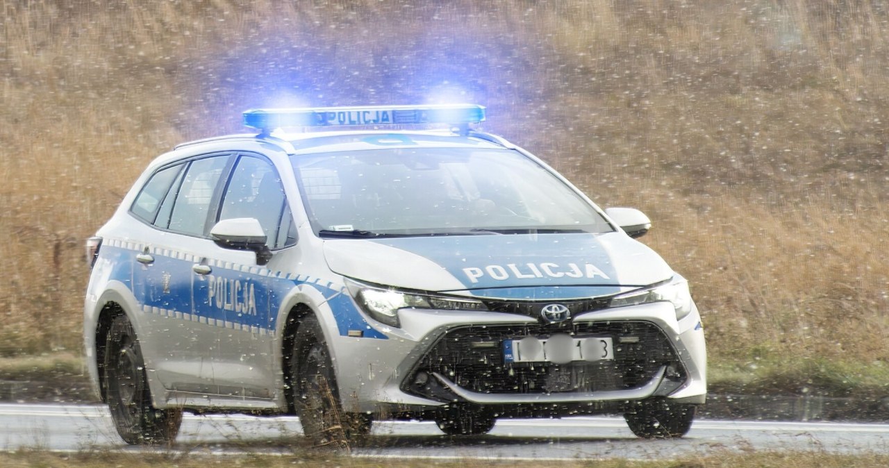 Międzynarodowy pościg zakończony na Śląsku. Złodzieje czekają na przesłuchanie