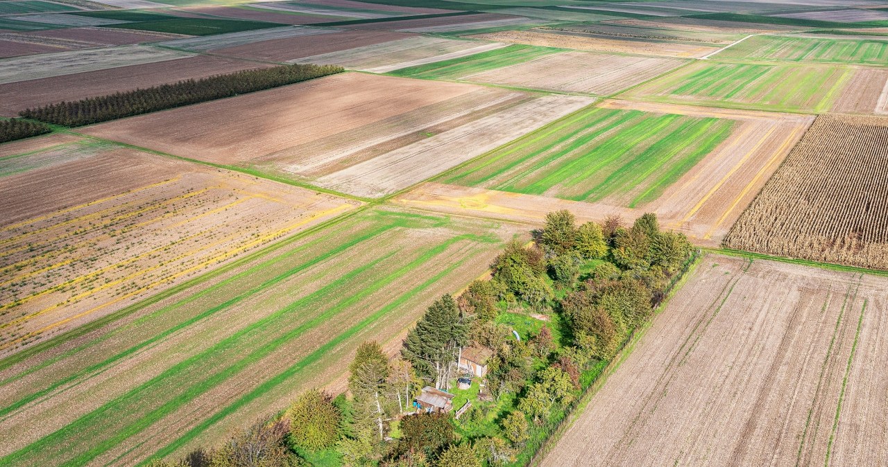 Sprzedaż działki pod CPK. Oświadczenie KOWR