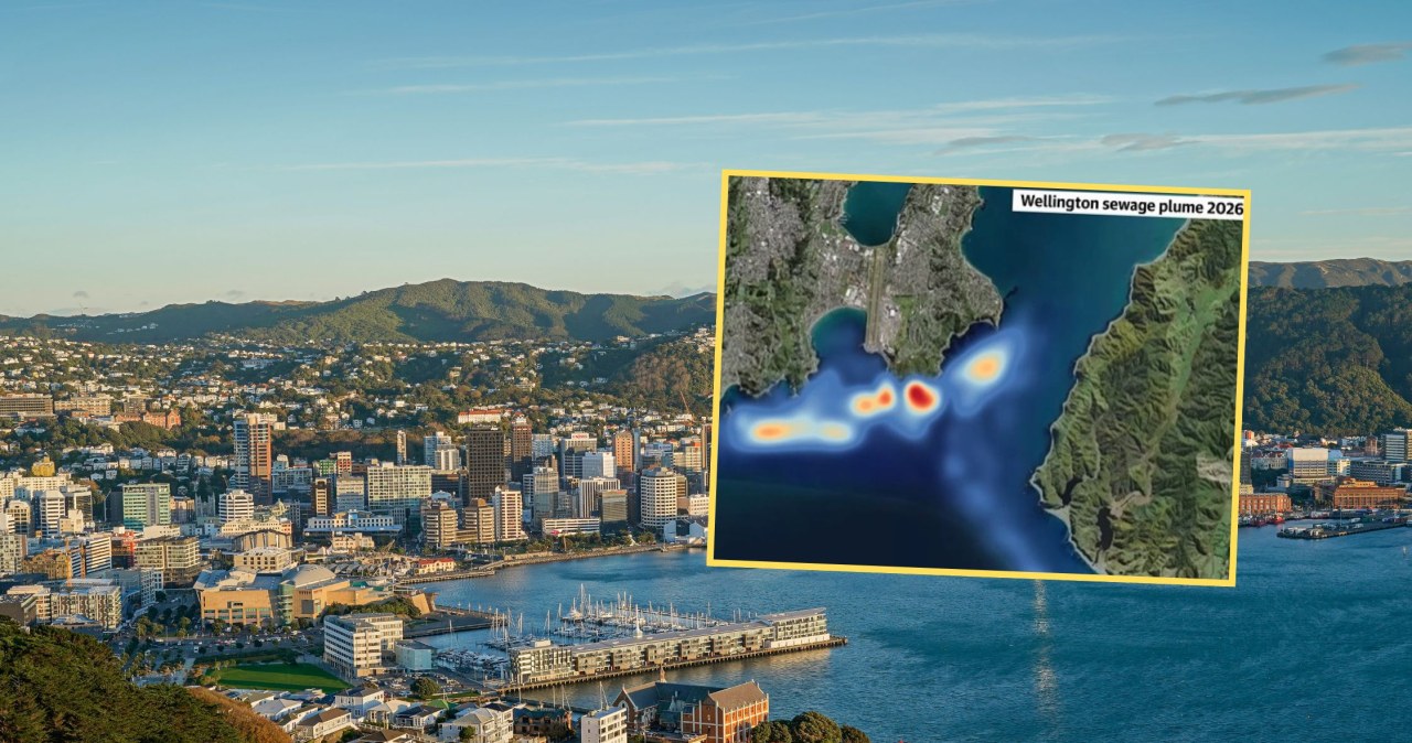 "Katastrofa" w Wellington. Miliony litrów ścieków trafiają do oceanu