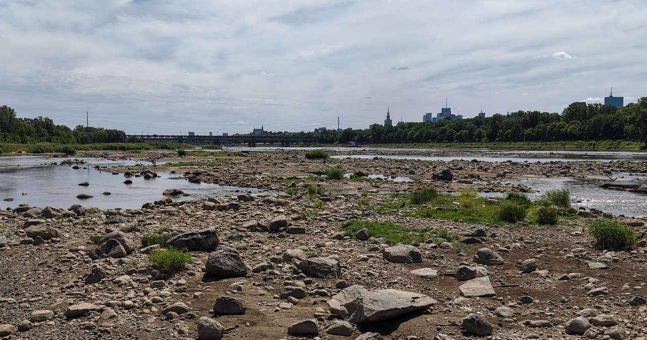 Jesteśmy na krawędzi katastrofy. Tak niskiego poziomu Wisły nie było jeszcze nigdy