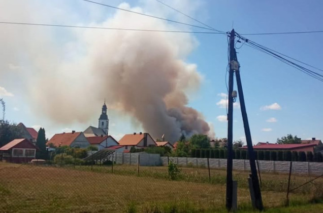 Duży pożar w Opolskiem. Spaliło się 70 hektarów jęczmienia
