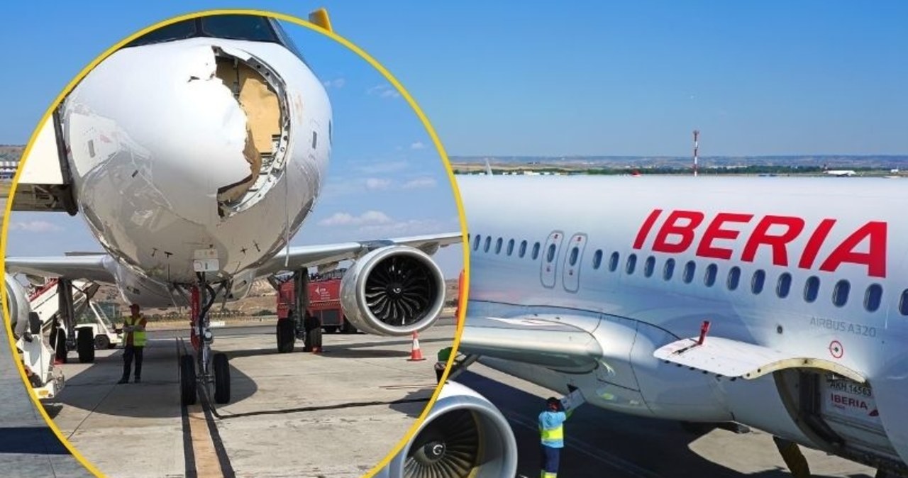 Airbus zderzył się z sępem. Zdjęcia z Madrytu robią furorę w sieci