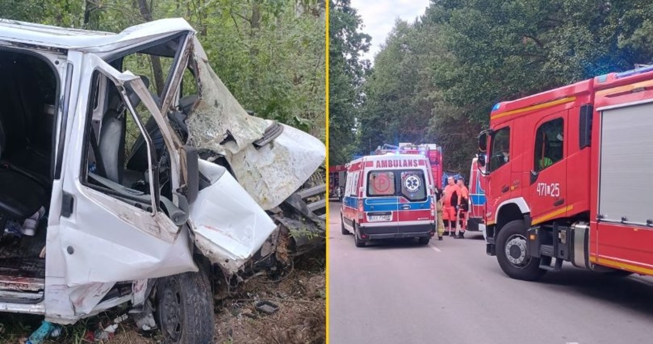 Bus z 9 pasażerami uderzył w drzewo. Kierował 19-latek bez prawa jazdy