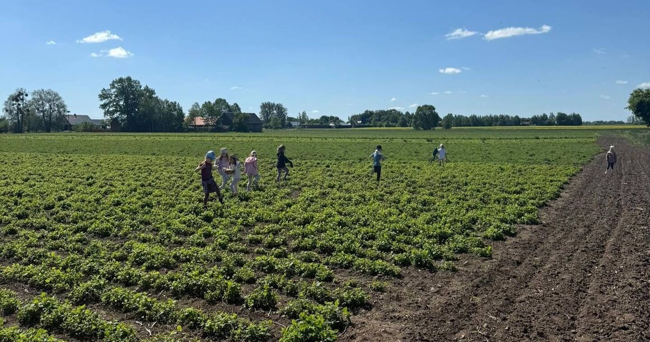 "Pyszne, bo polskie". Odkrywamy kulinarne Podlasie
