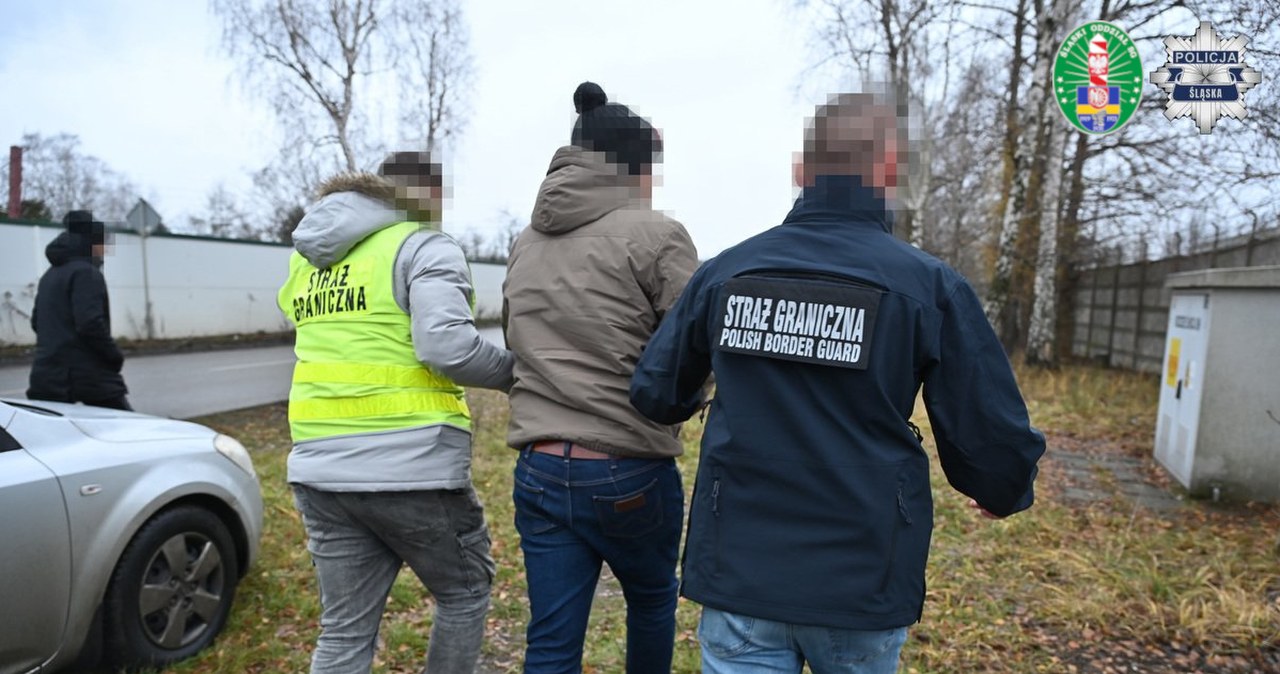 Narkotykami zza oceanu handlowano na Śląsku. 9 osób z zarzutami