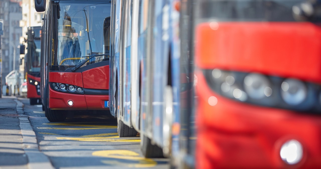 Dostrzegli i zatrzymali. Sprawna akcja dwóch kierowców komunikacji miejskiej