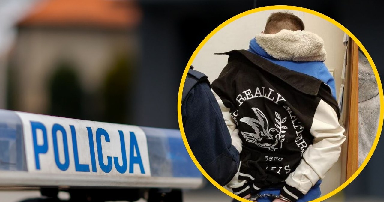 Ojciec uprowadził 4-letnią córkę podczas spaceru. Policjantów zaatakował siekierą