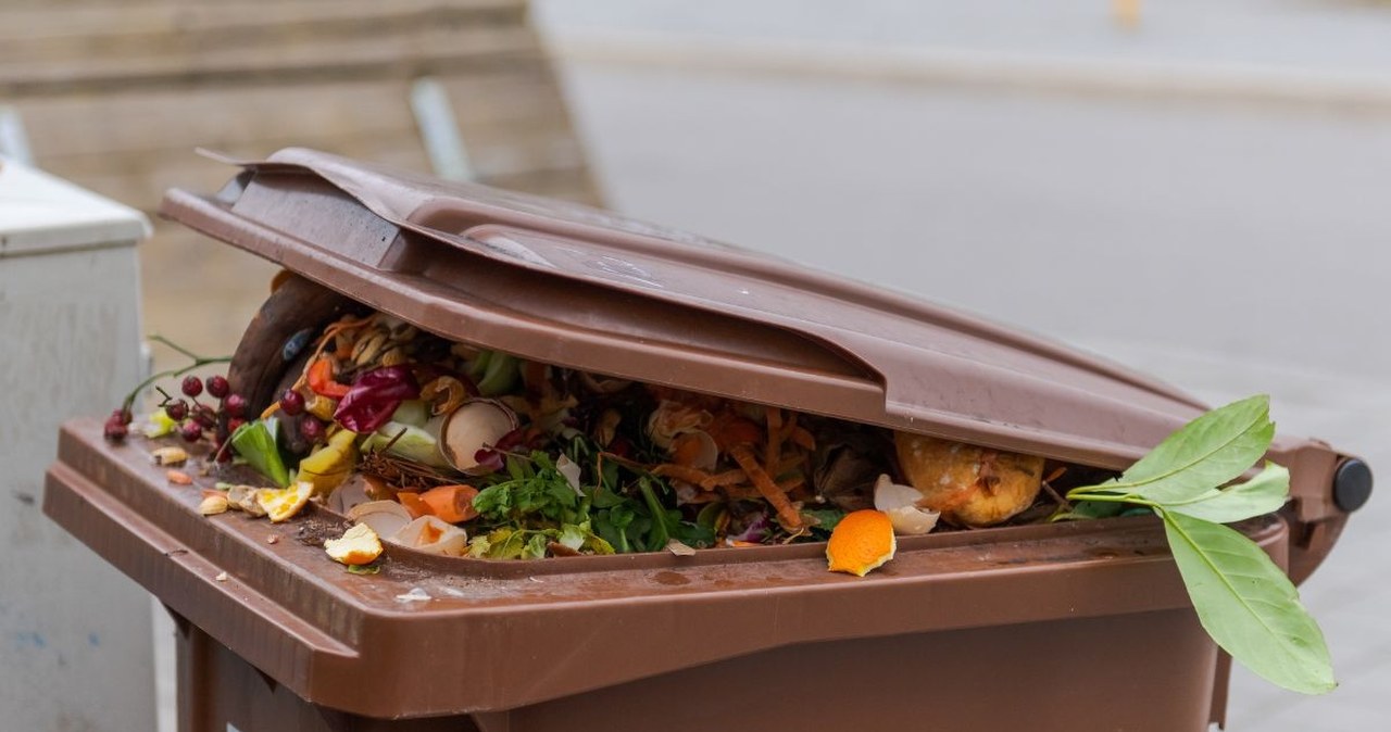 Nowe zasady odbioru odpadów komunalnych. Wyższe opłaty i surowsze wymogi segregacji