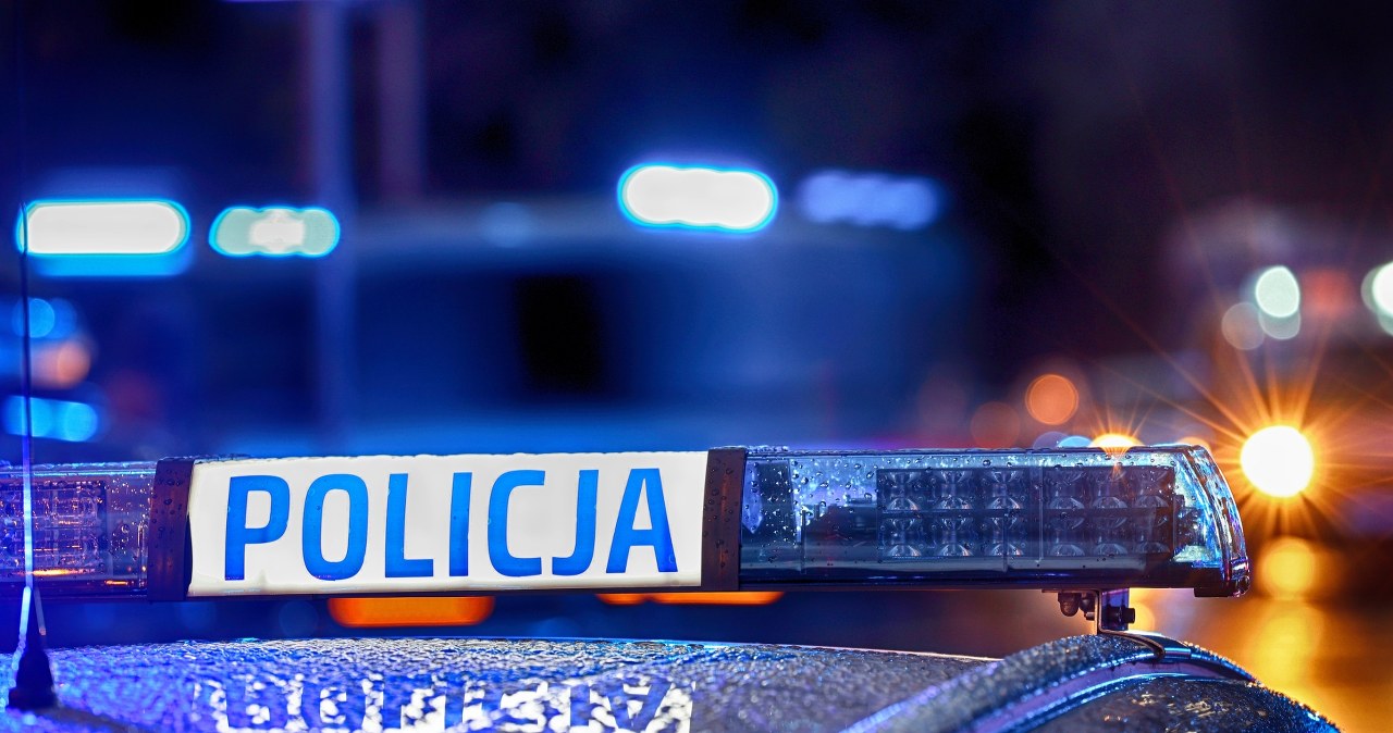 Akcja policji. Zlikwidowano dziuplę z kradzionymi samochodami