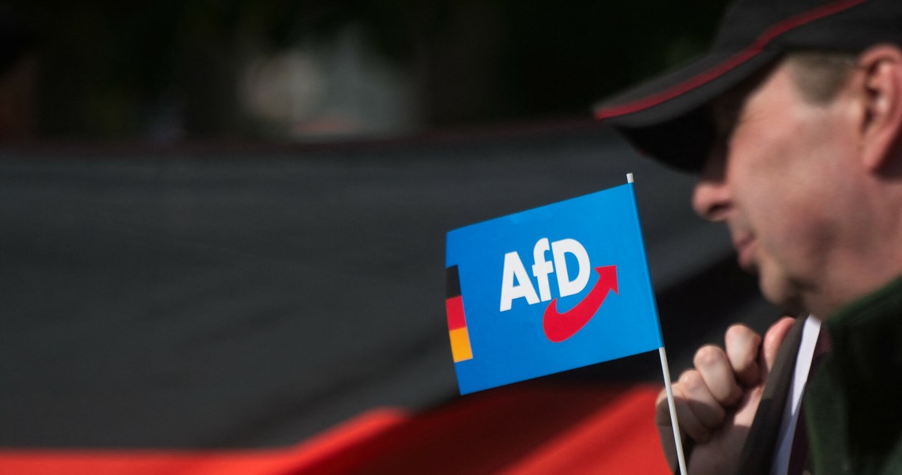 Alternatywa dla Niemiec łamie zasady konstytucji. Zostanie zdelegalizowana?