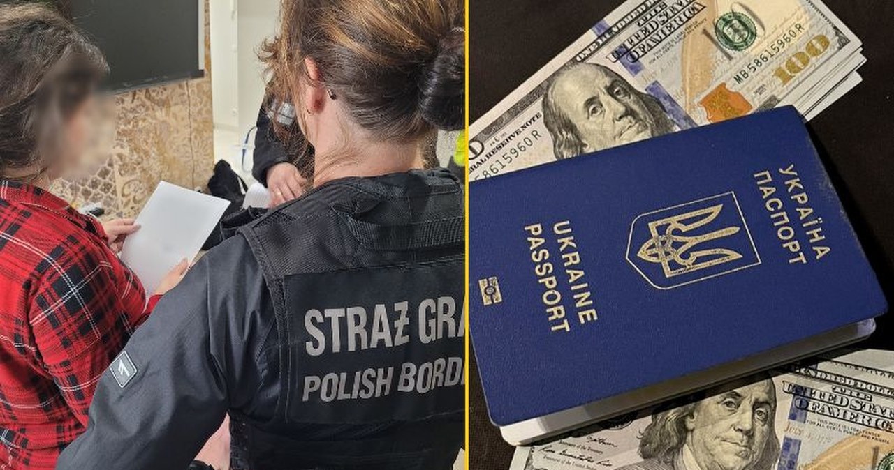 Międzynarodowa grupa przestępcza rozbita. Akcja straży granicznej