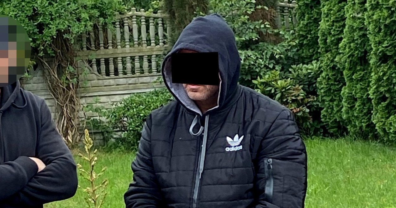 Zwierzęta miały poderżnięte gardła. Zatrzymano mężczyznę podejrzanego o śmierć alpak