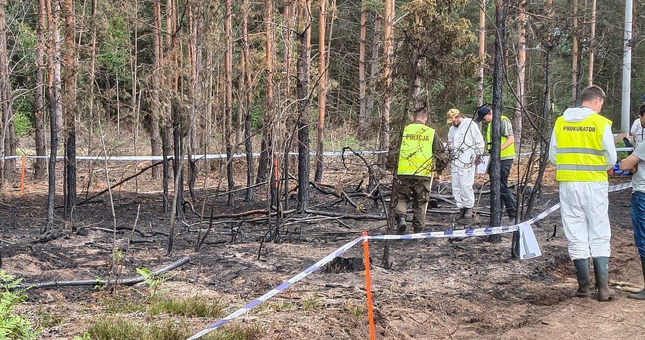 Śledztwo po pożarze lasu na Mazowszu. Znamy najnowsze ustalenia