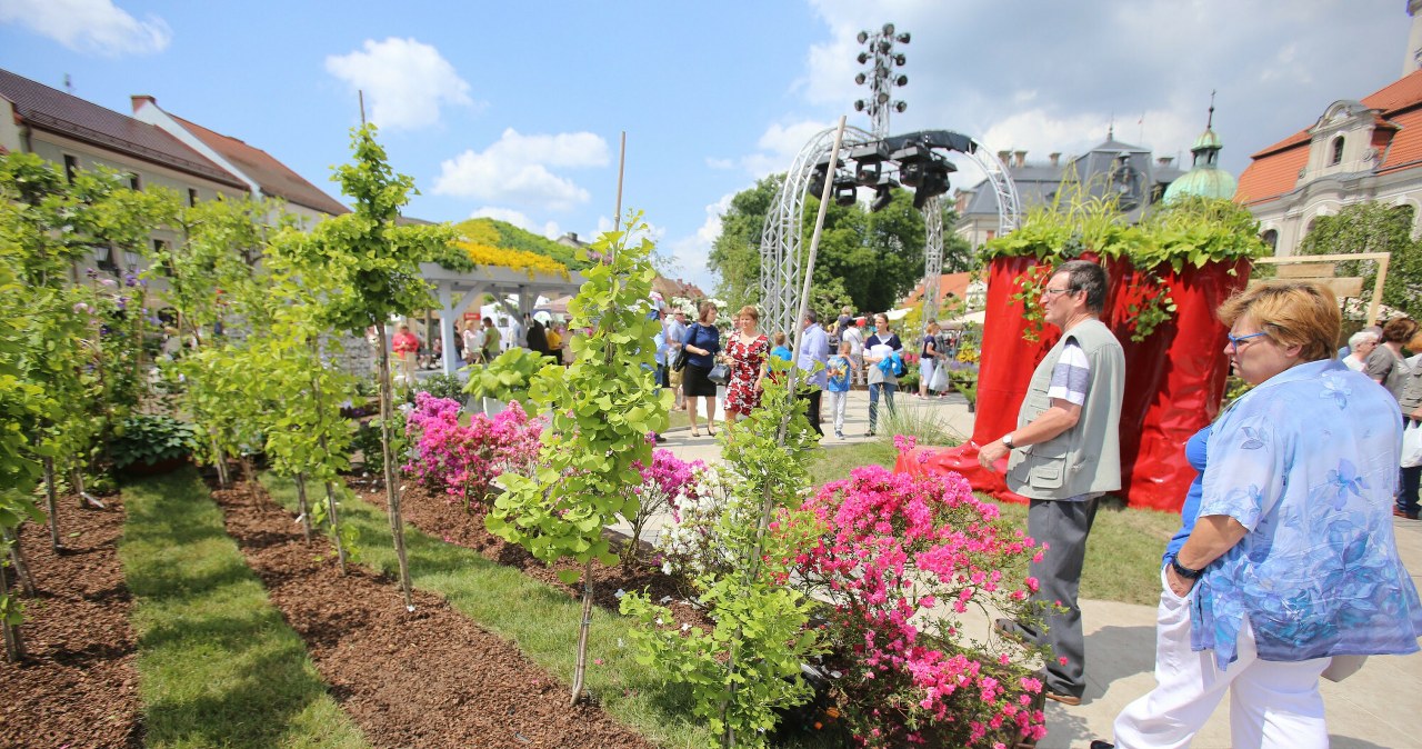 Pszczyna rozkwita światłem i muzyką. Ruszają Daisy Days 2026