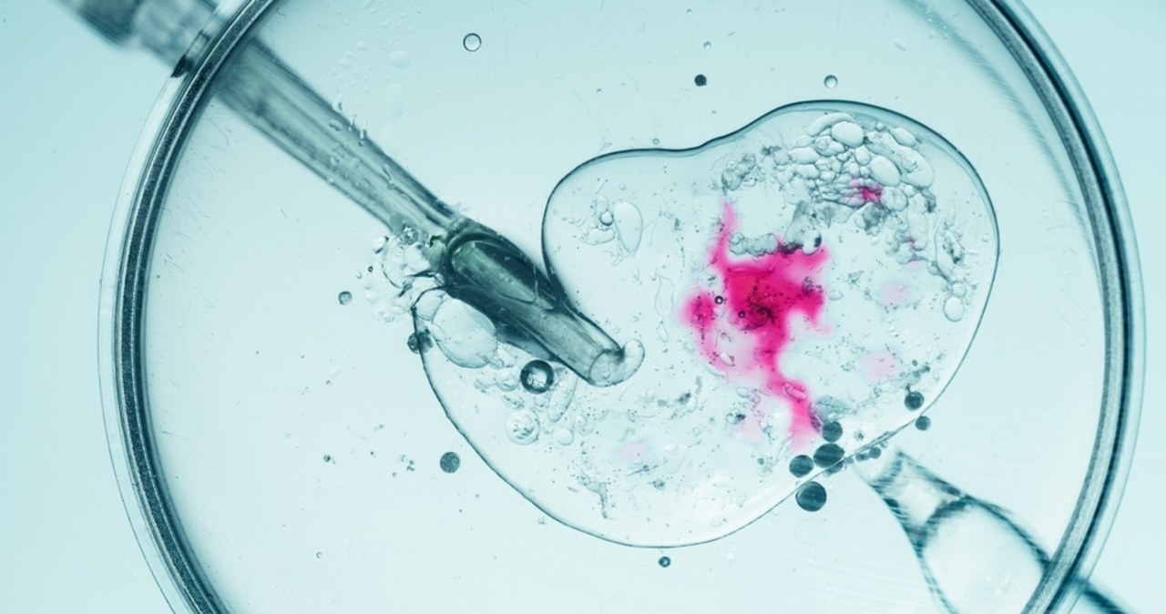 Błąd w in vitro. Kobieta urodziła dziecko innej parze