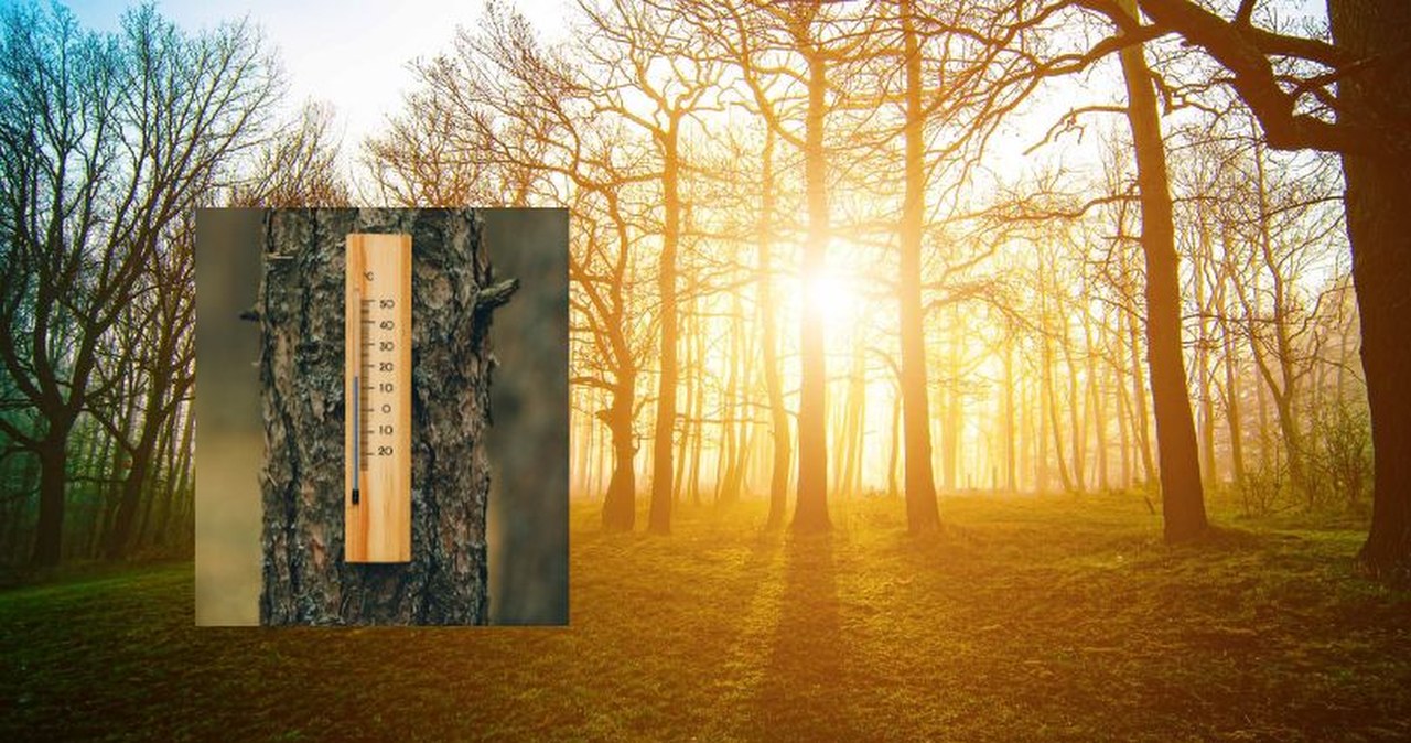 Wiosna na horyzoncie. Taką temperaturę wskażą termometry