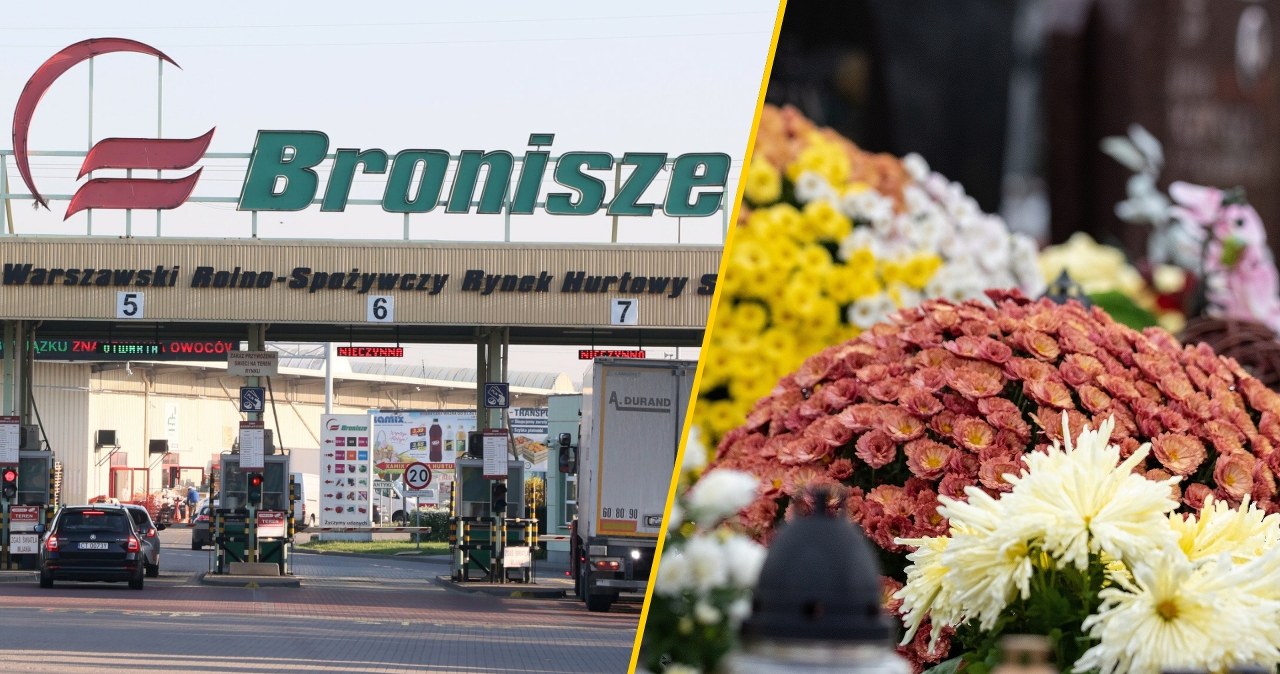 Ceny na Wszystkich Świętych 2025: Ile kosztują efektowne kompozycje w Broniszach?