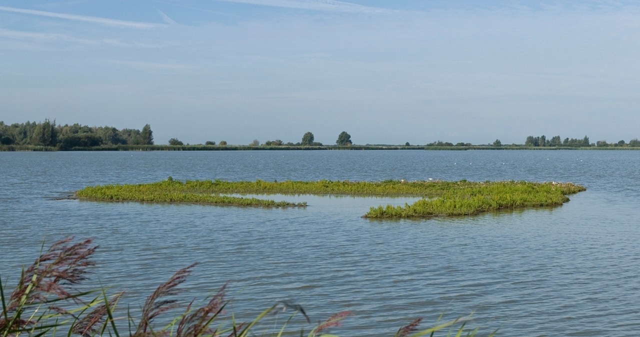 Brutalnie zabili 18-latkę. Ojciec dziewczyny skazany za "zabójstwo honorowe"